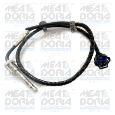 Sensor, exhaust gas temperature